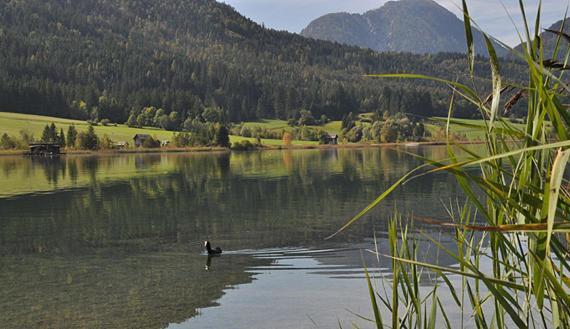 Haus Schluder - Familie Stanitzer Otel Weissensee Dış mekan fotoğraf